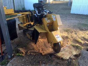 Eden Trees Stump Grinding