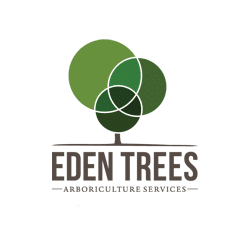 Tree Removal