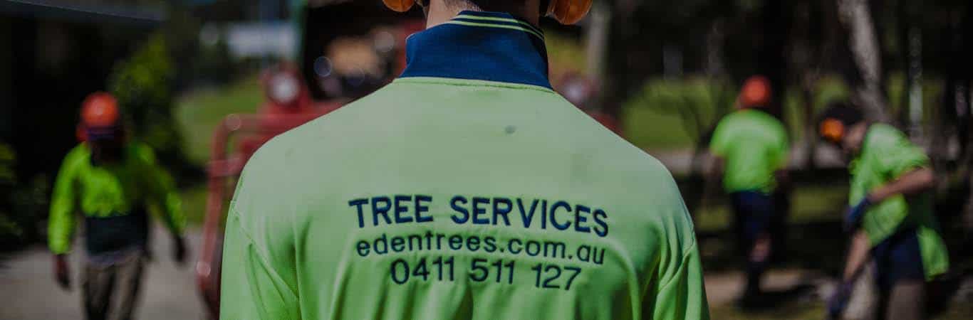 Tree Removal Service Gold Coast