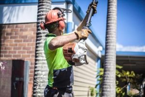 Tree trimming with Pole saw