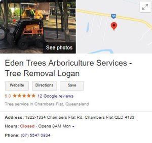 Logan Tree Service