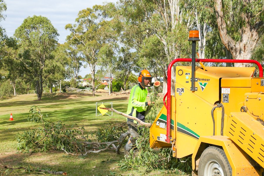 Tree removal using a wood chipper