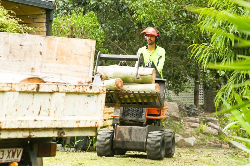 Tree waste removal