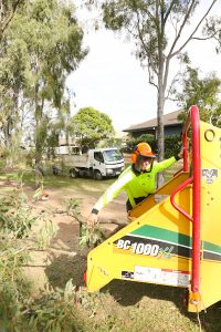 Turning tree waste into wood chip mulch for recycling