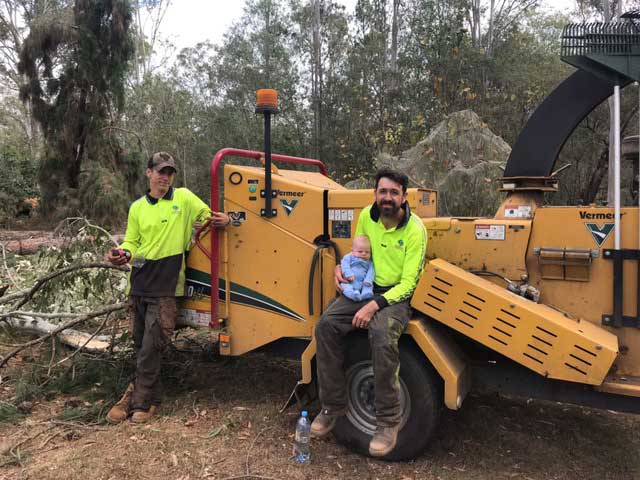 tree service in browns plains QLD