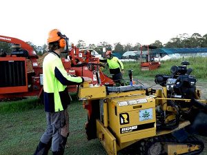 brisbane stump grinding