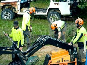 Tree Removal Regents Park