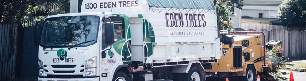 Tree waste tipper truck