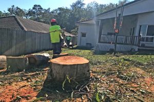 Tree sections being carried away