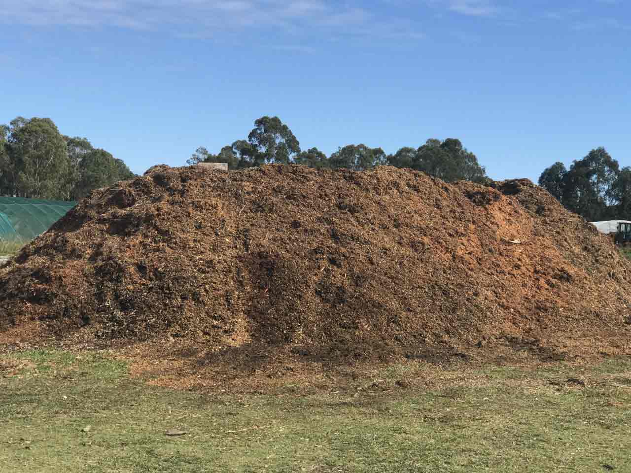 Aged Forest Woodchip Bush Mulch Brisbane