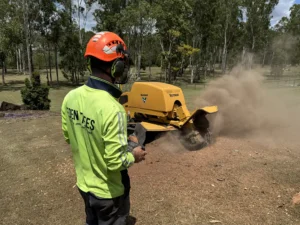 Eden Trees provide stump grinding services right across Brisbane QLD