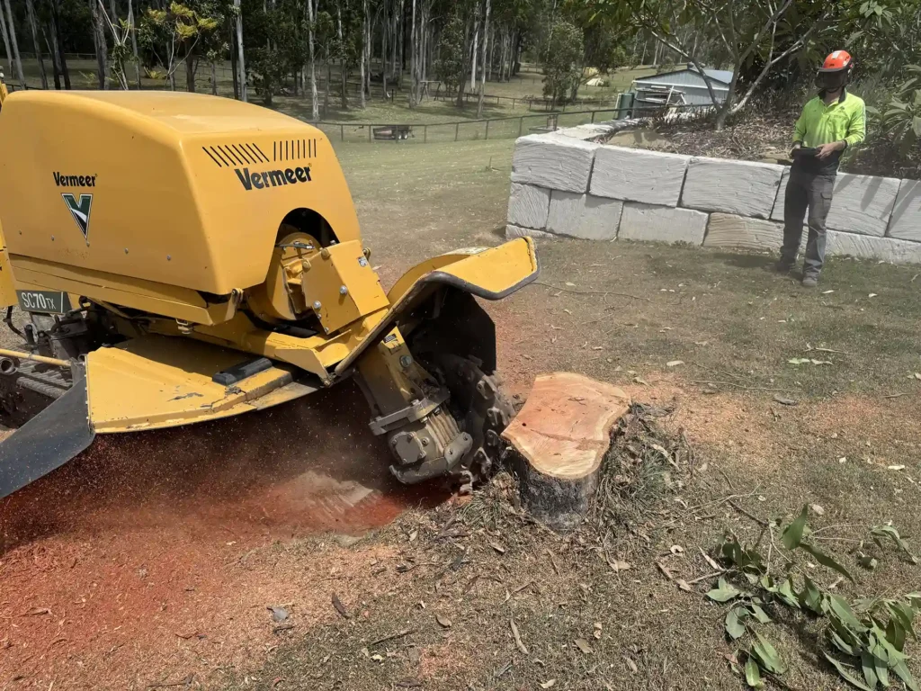 Stump grinding is the fastest and most common method of removing old trees stumps