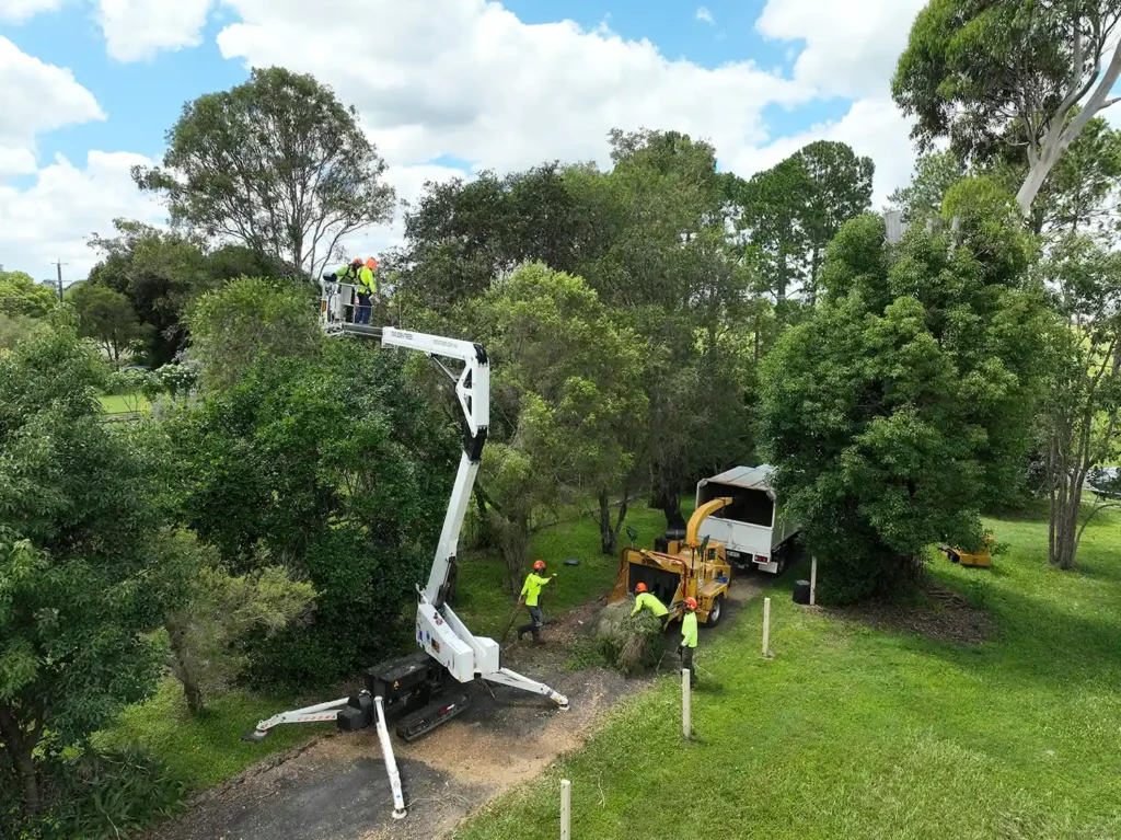 Tree maintenance increases property values around Brisbane