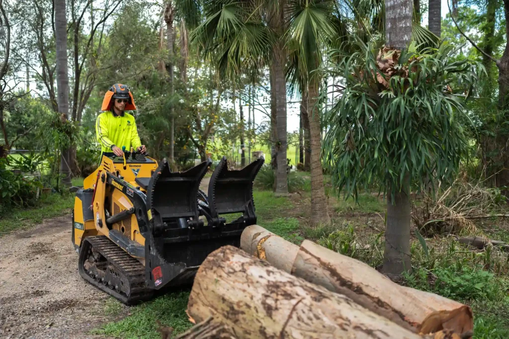 Tree Removal South Brisbane - Tree Stump Removal - Tree Pruning